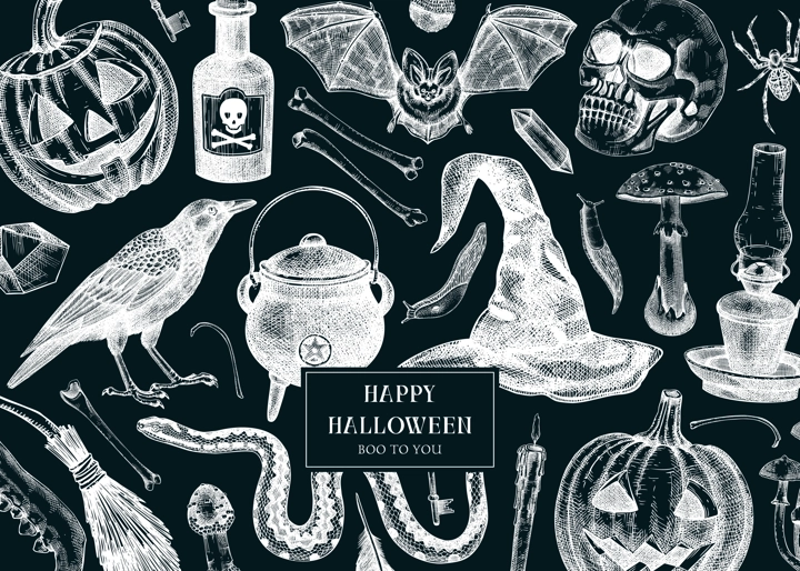 Halloween background on chalkboard. Hand drawn vector illustration. Skulls, bones, pumpkin, poisonous mushrooms, snakes, witch hat sketches. Autumn holiday card. Vintage Halloween party invitation